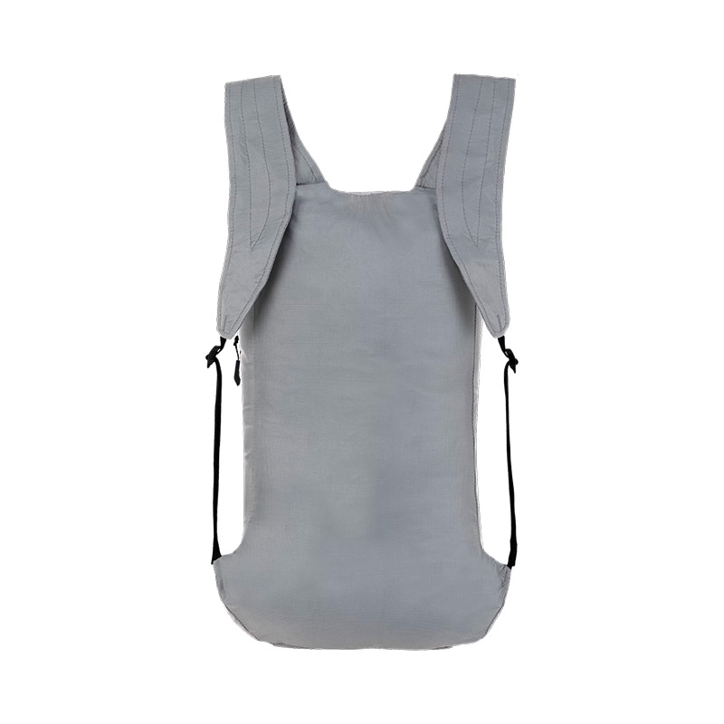 Рюкзак Salewa ULTRALIGHT 22 BP  Alloy