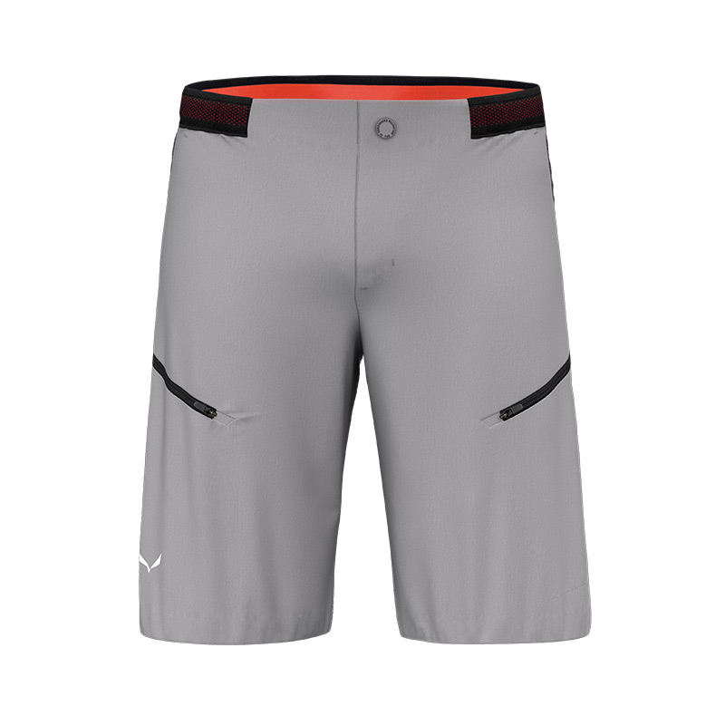 Шорты мужские Salewa PEDROC PRO DST CARGO M SHORTS Alloy