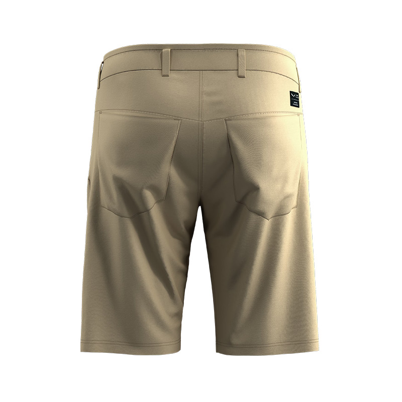 Шорты мужские Salewa FANES LIGHT M SHORTS Quicksand