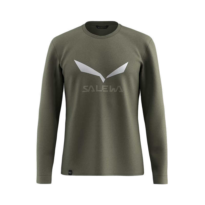 Футболка мужская с рукавом Salewa SOLIDLOGO DRY M L/S TEE-5A50 faded green 186г  dry'ton jersey