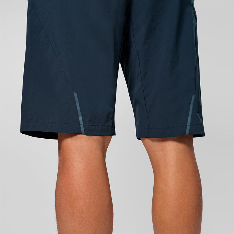 Шорты мужские Salewa PEDROC 4 DST CARGO M SHORT Blueberry