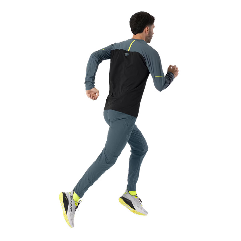 Футболка мужская с длинным рукавом Dynafit ALPINE PRO M L/S TEE cinder/polygiene