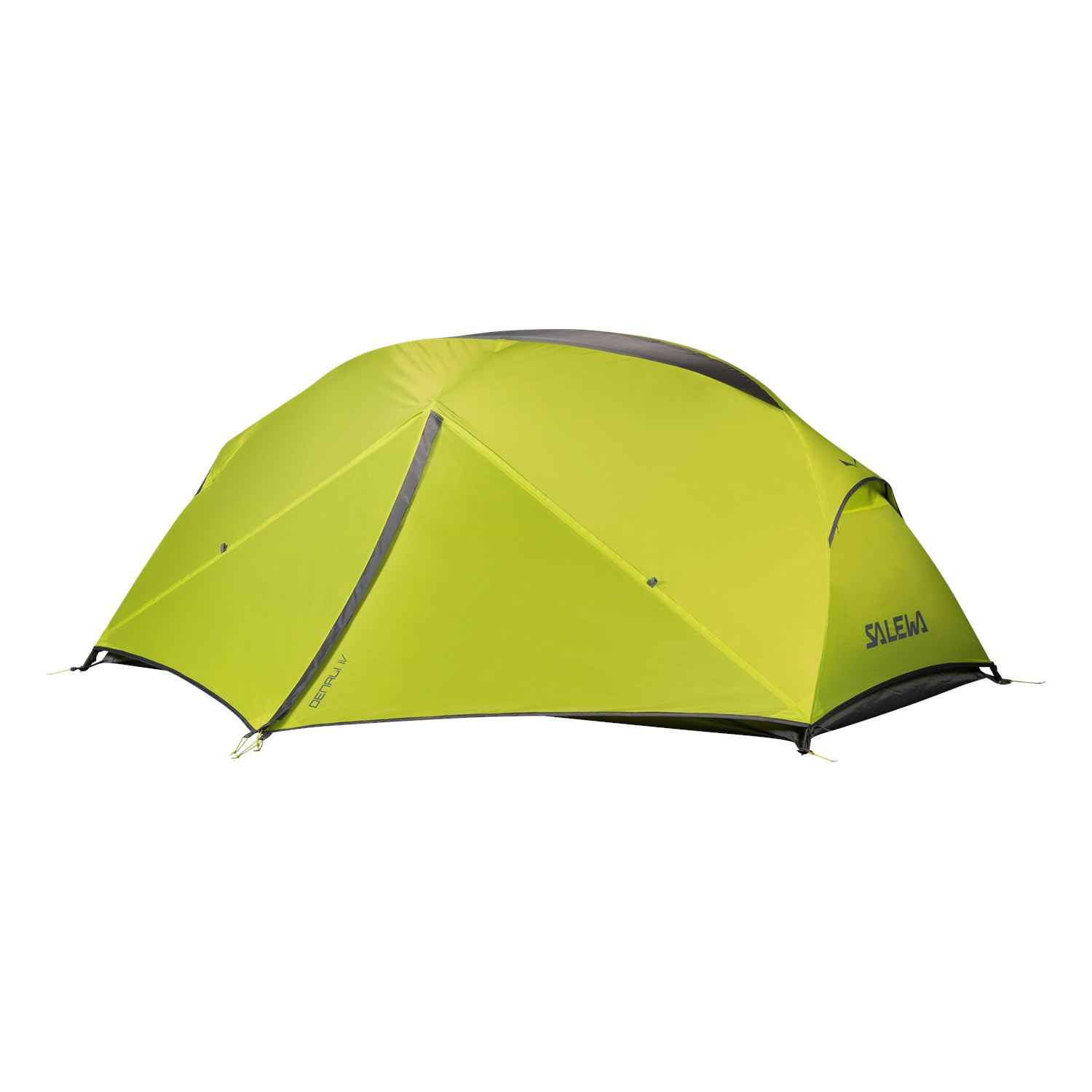 Палатка 4 местная Salewa DENALI IV TENT Cactus/Green