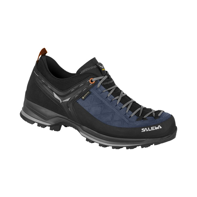 Ботинки Salewa Alpine Trekking MS MTN TRAINER 2 GTX Blue Danube/Fluo Green