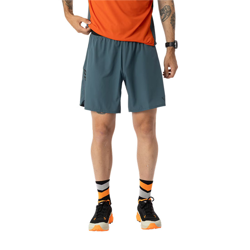 Шорты мужская Dynafit ALPINE M SHORTS cinder