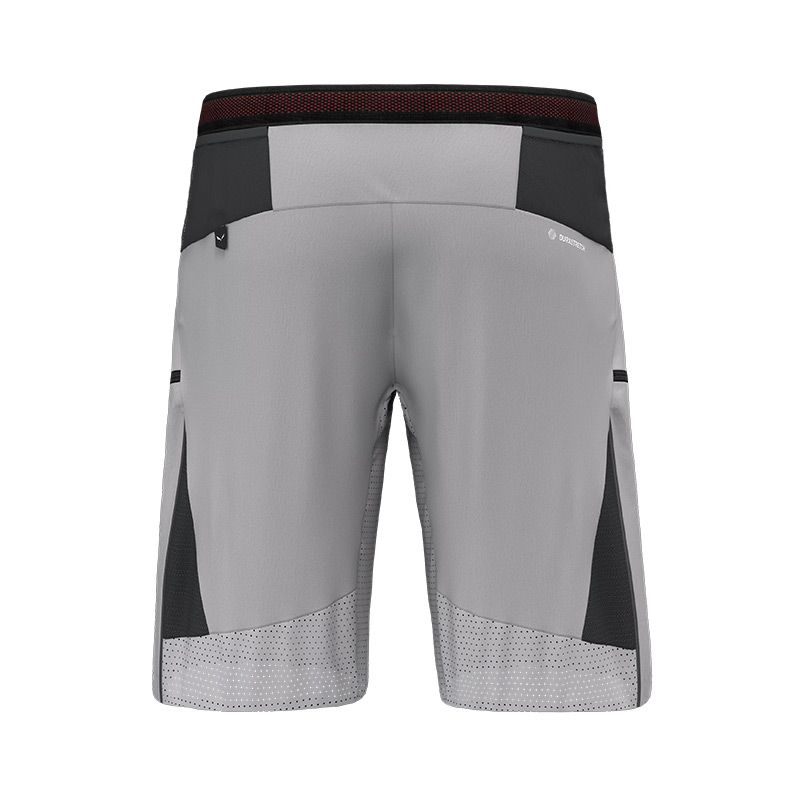 Шорты мужские Salewa PEDROC PRO DST CARGO M SHORTS Alloy