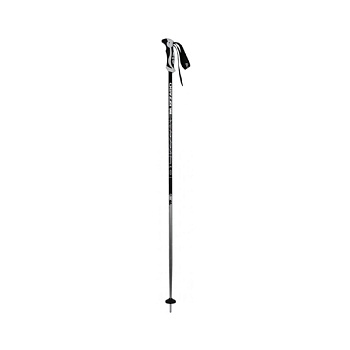 Палочки лыжные BLIZZARD Allmountain ski poles silver