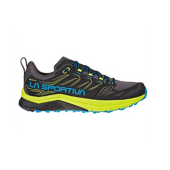 Кроссовки Mountain Running JACKAL GTX Black/Neon